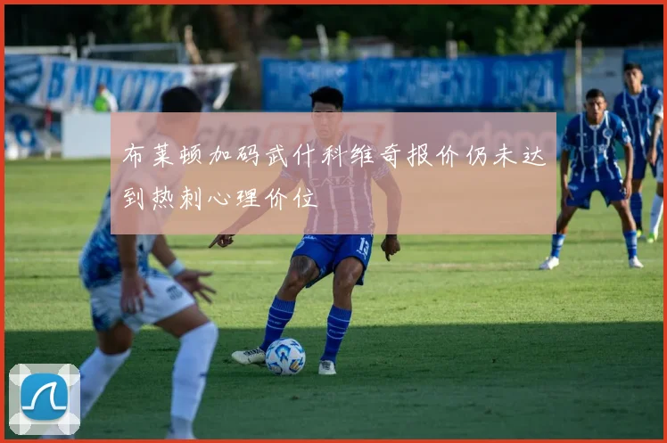 布莱顿加码武什科维奇报价仍未达到热刺心理价位