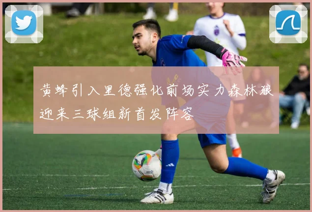 黄蜂引入里德强化前场实力森林狼迎来三球组新首发阵容